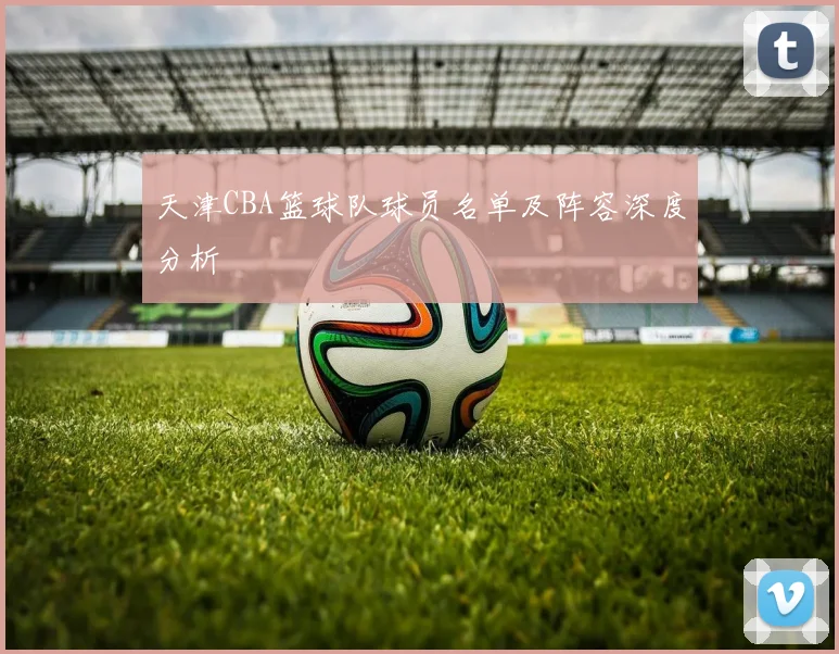 天津CBA篮球队球员名单及阵容深度分析