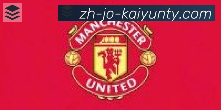 KY开云体育合作伙伴